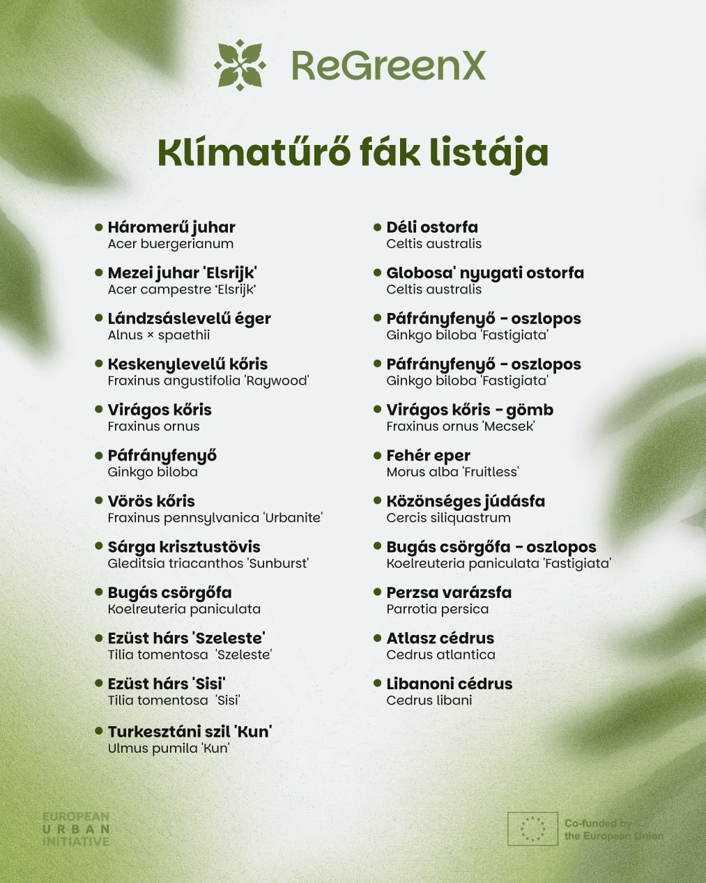 Klímatűrő fák listája